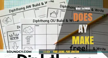 Exploring the Versatile Sounds of the 'AY' Diphthong in English