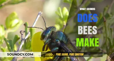 Buzzing Secrets: Unveiling the Unique Sounds Bees Make