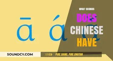 Exploring the Unique Sounds and Tones of Chinese Phonetics