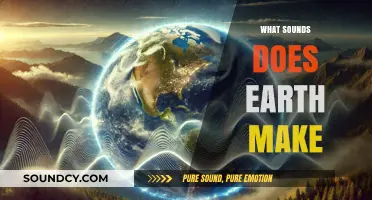 Earth's Symphony: Unveiling the Planet's Natural Sounds and Rhythms