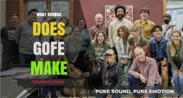 Unveiling the Unique Sounds of Gofe: A Comprehensive Exploration