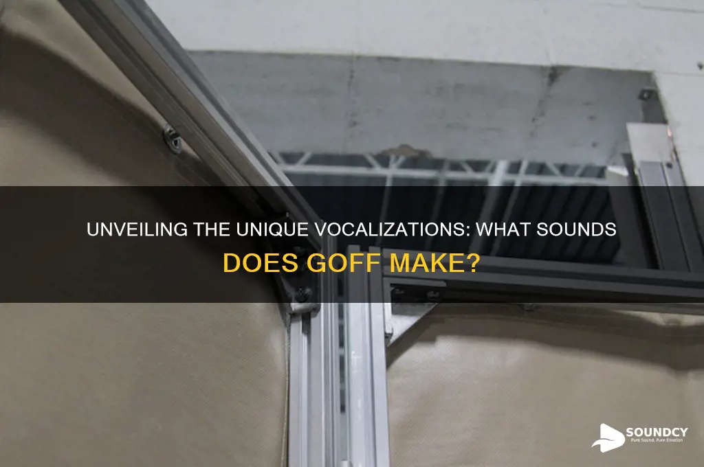 what sounds does goff make