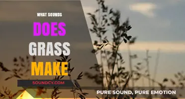 The Whispering Lawn: Uncovering the Subtle Sounds of Grass