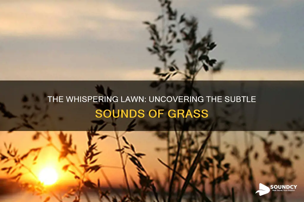 what sounds does grass make