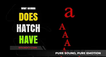 Exploring the Unique Sounds of Hatch: A Comprehensive Guide