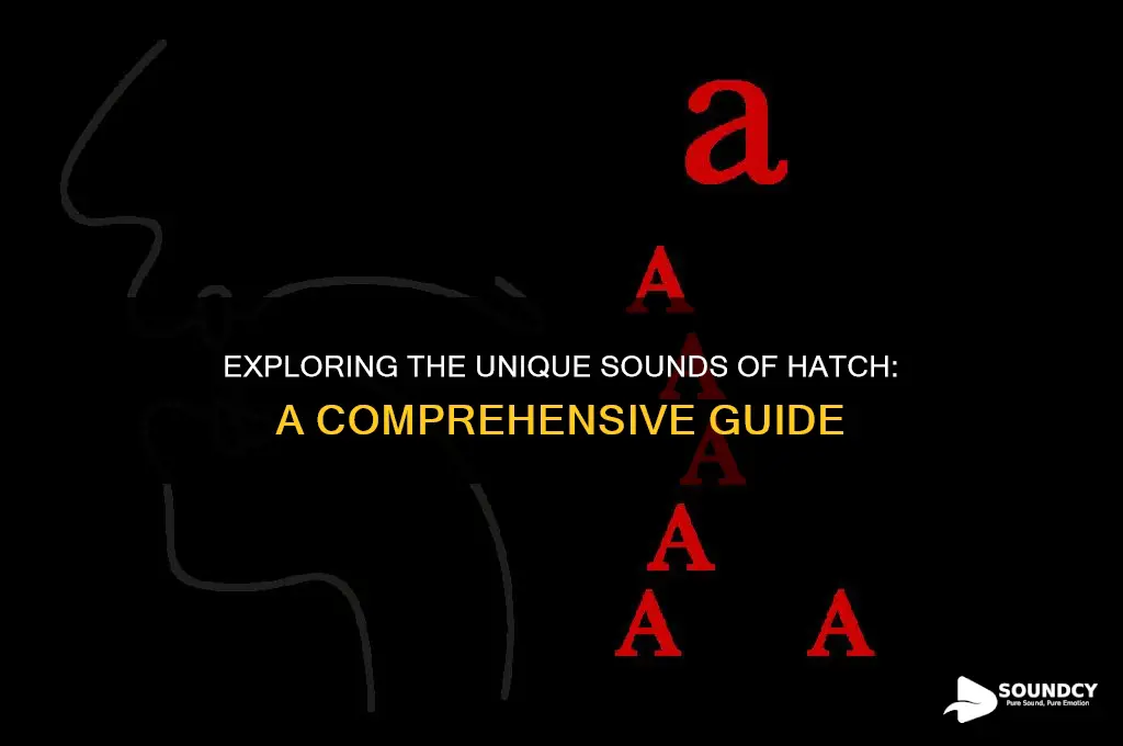 what sounds does hatch have