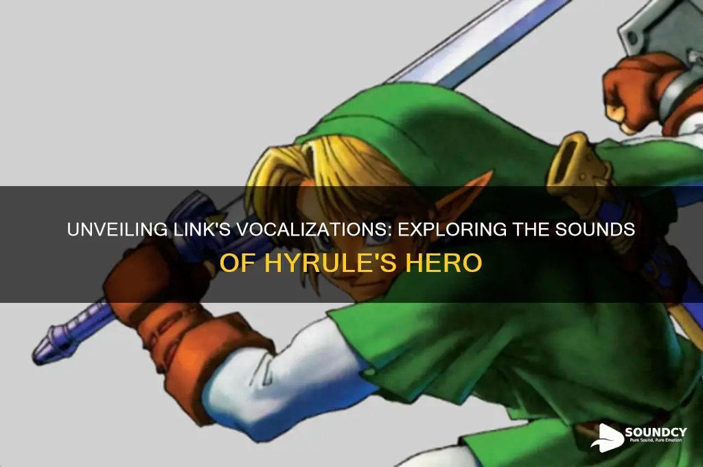 what sounds does link make