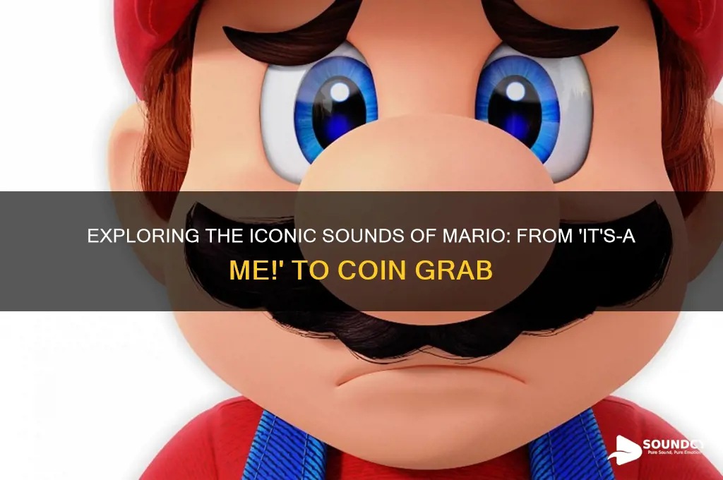 what sounds does mario make