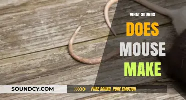Unveiling the Quiet World: What Sounds Does a Mouse Make?