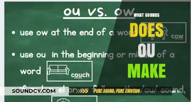 Exploring the Versatile Sounds of the 'OU' Vowel Combination