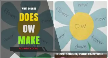 Exploring the Versatile Sounds of 'OW': Meanings and Uses