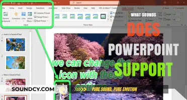 Exploring PowerPoint's Audio Capabilities: Supported Sounds and Formats