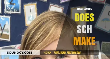 Unraveling the Mystery: What Sounds Does 'SCH' Make in English?
