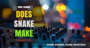 Unveiling the Mysterious Sounds: What Noises Do Snakes Actually Make?