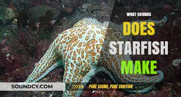Unveiling the Silent World: Do Starfish Produce Sounds in the Ocean?