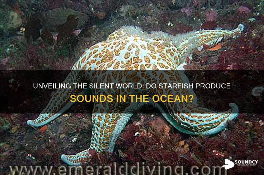 what sounds does starfish make