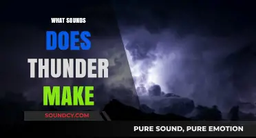 Exploring the Roaring, Cracking, and Rumbling Sounds of Thunder