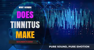 Unraveling Tinnitus: Exploring the Diverse Sounds It Produces in Ears