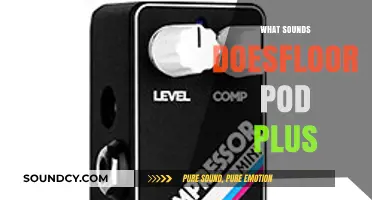 Exploring the Versatile Sounds of the Floor Pod Plus Amplifier