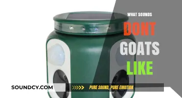 Unwanted Noises: Understanding Sounds That Irritate and Stress Goats
