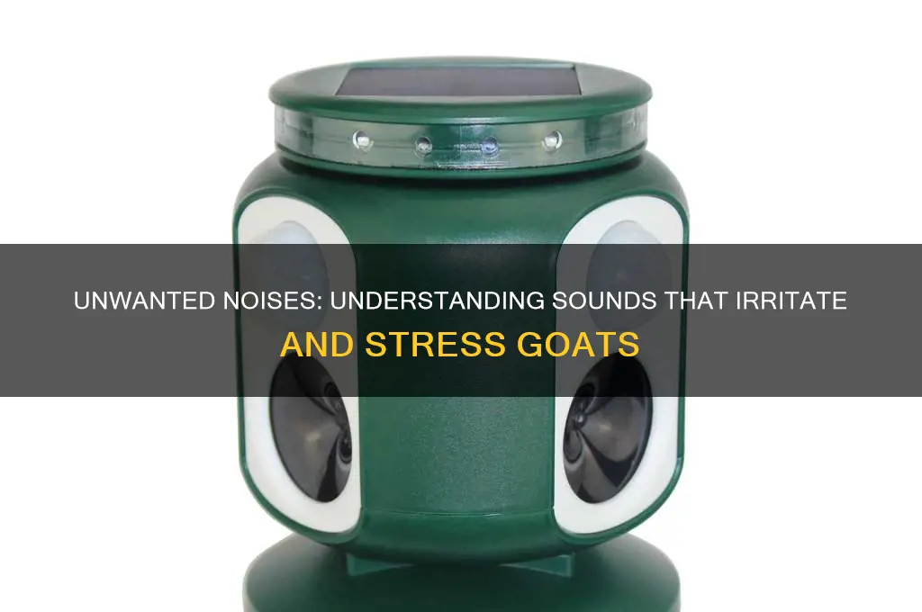 what sounds dont goats like