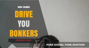 Unbearable Noises: Exploring the Sounds That Instantly Irritate and Annoy
