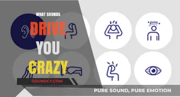 Unbearable Noises: Exploring the Sounds That Instantly Grate Our Nerves