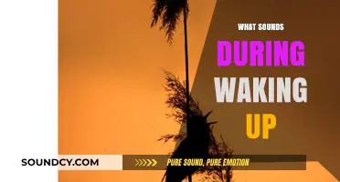 Morning Melodies: Exploring the Sounds That Greet Us at Dawn