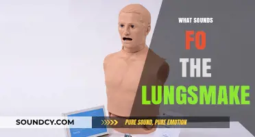 Understanding Lung Sounds: A Guide to Normal and Abnormal Breath Noises