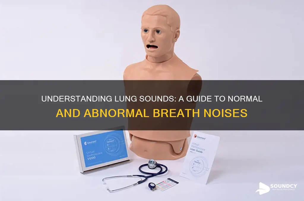 what sounds fo the lungsmake