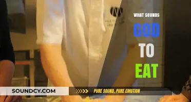 Delicious Food Sounds: What Makes a Meal Truly Irresistible to Eat?