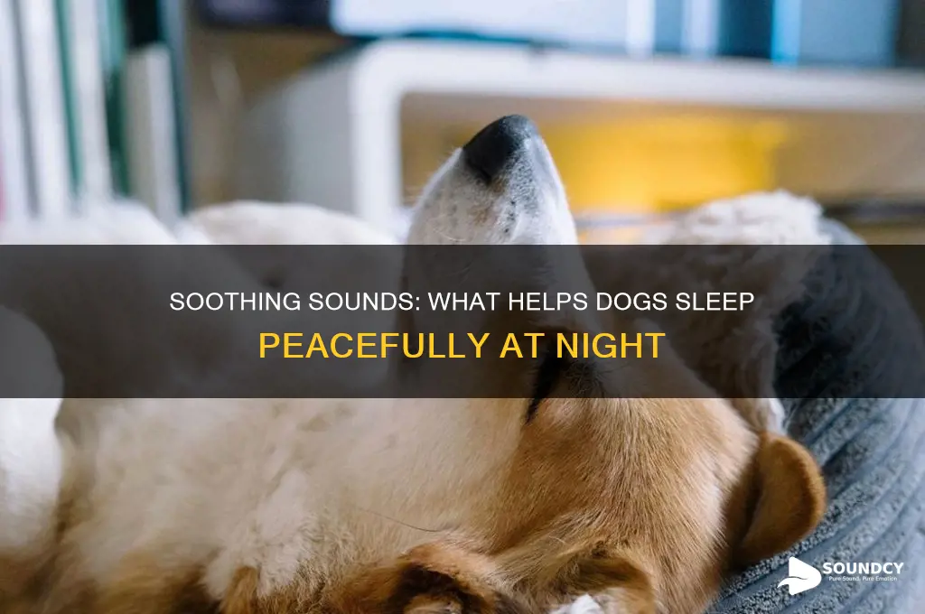 what sounds help dogs sleep