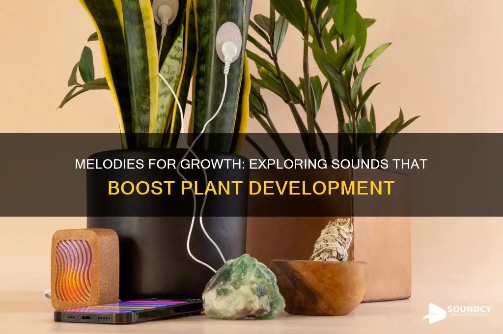 what sounds help plants grow