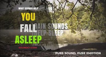 Calming Sounds for Sleep: The Science of Slumber