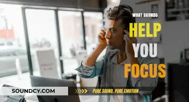 Enhance Productivity: Discover the Best Sounds to Boost Your Focus