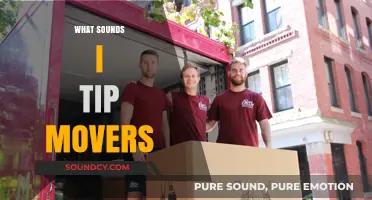 Tipping Movers: Understanding the Sounds of Appreciation and Gratitude