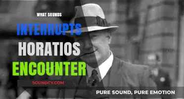 Unraveling the Noises That Disrupt Horatio's Mysterious Encounter