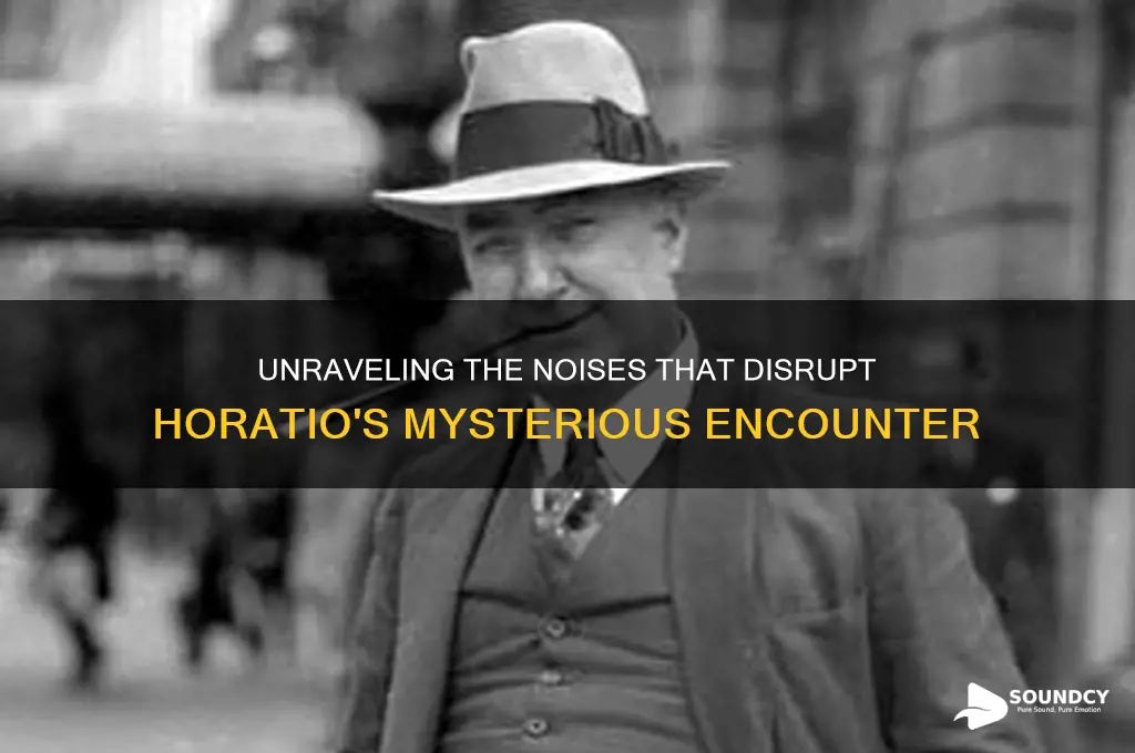 what sounds interrupts horatios encounter