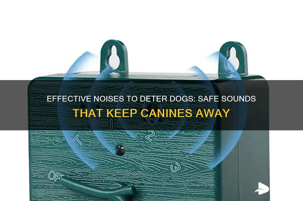 what sounds keep dogs away