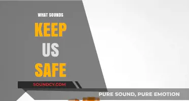 Sounds of Safety: How Everyday Noises Protect and Alert Us