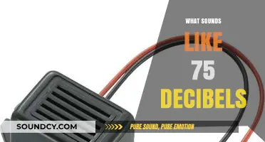Unveiling the Everyday Sounds That Match 75 Decibels