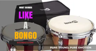Exploring Bongo-Like Sounds: Instruments and Nature's Rhythms That Mimic Bongos