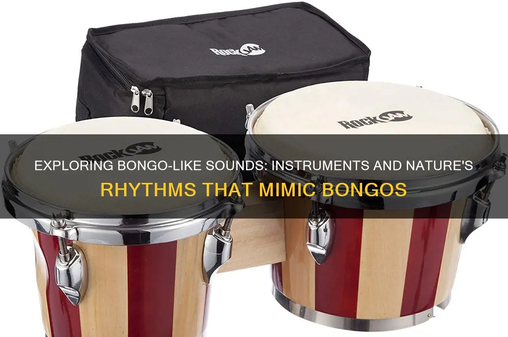 what sounds like a bongo
