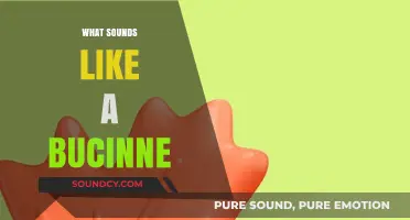 Unraveling the Mystery: What Sounds Like a Buccine in Nature?