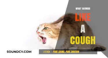 Unraveling the Mystery: What Sounds Like a Cough but Isn't?