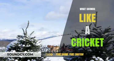 Unraveling the Mystery: What Sounds Like a Cricket in Nature?