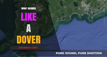 Unraveling the Mystery: Sounds That Resemble a Dover Explained