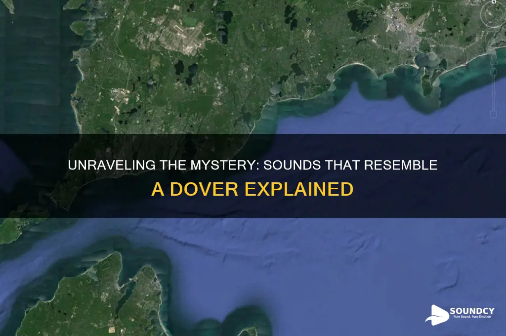 what sounds like a dover