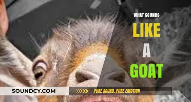 Unraveling the Unique Sounds That Resemble a Goat's Call