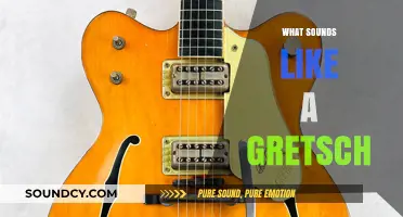 Unmistakable Gretsch Tone: Identifying the Signature Sound of a Legend